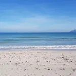 Sa Vinya Vella