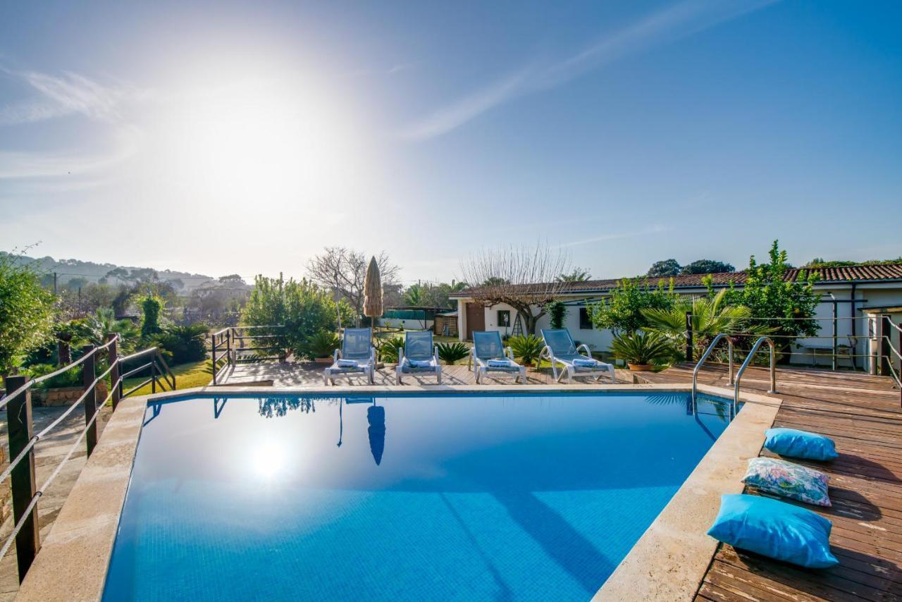 Sa Vinya Vella Lantställe Alcudia (Mallorca)