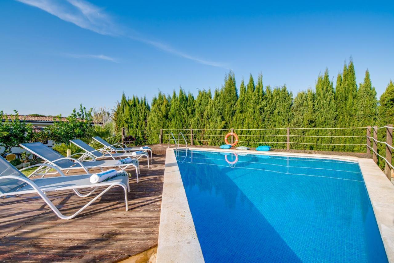 Sa Vinya Vella Lantställe Alcudia (Mallorca)