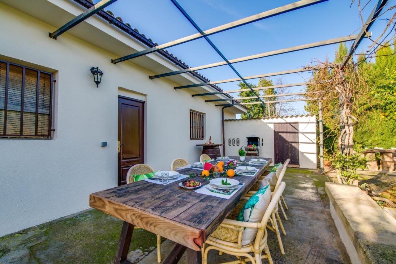Sa Vinya Vella Lantställe Alcudia (Mallorca)
